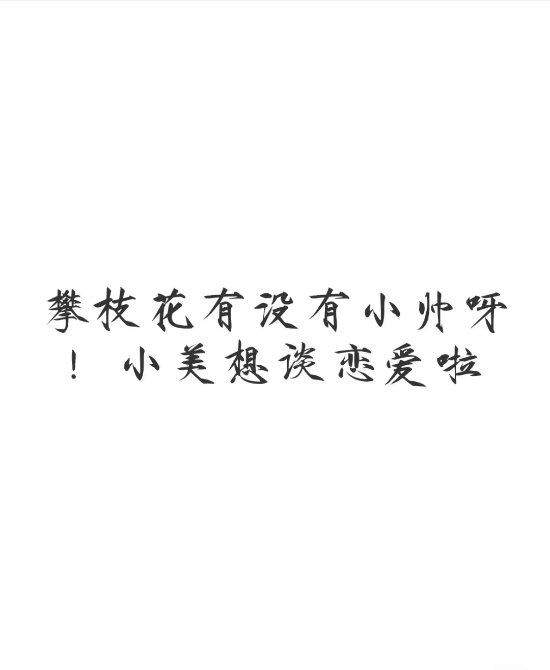 攀枝花找对象!