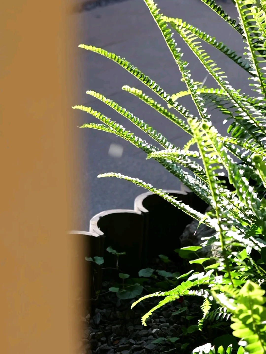 在雪山脚下办公是什么体验？｜雪屿且慢招募