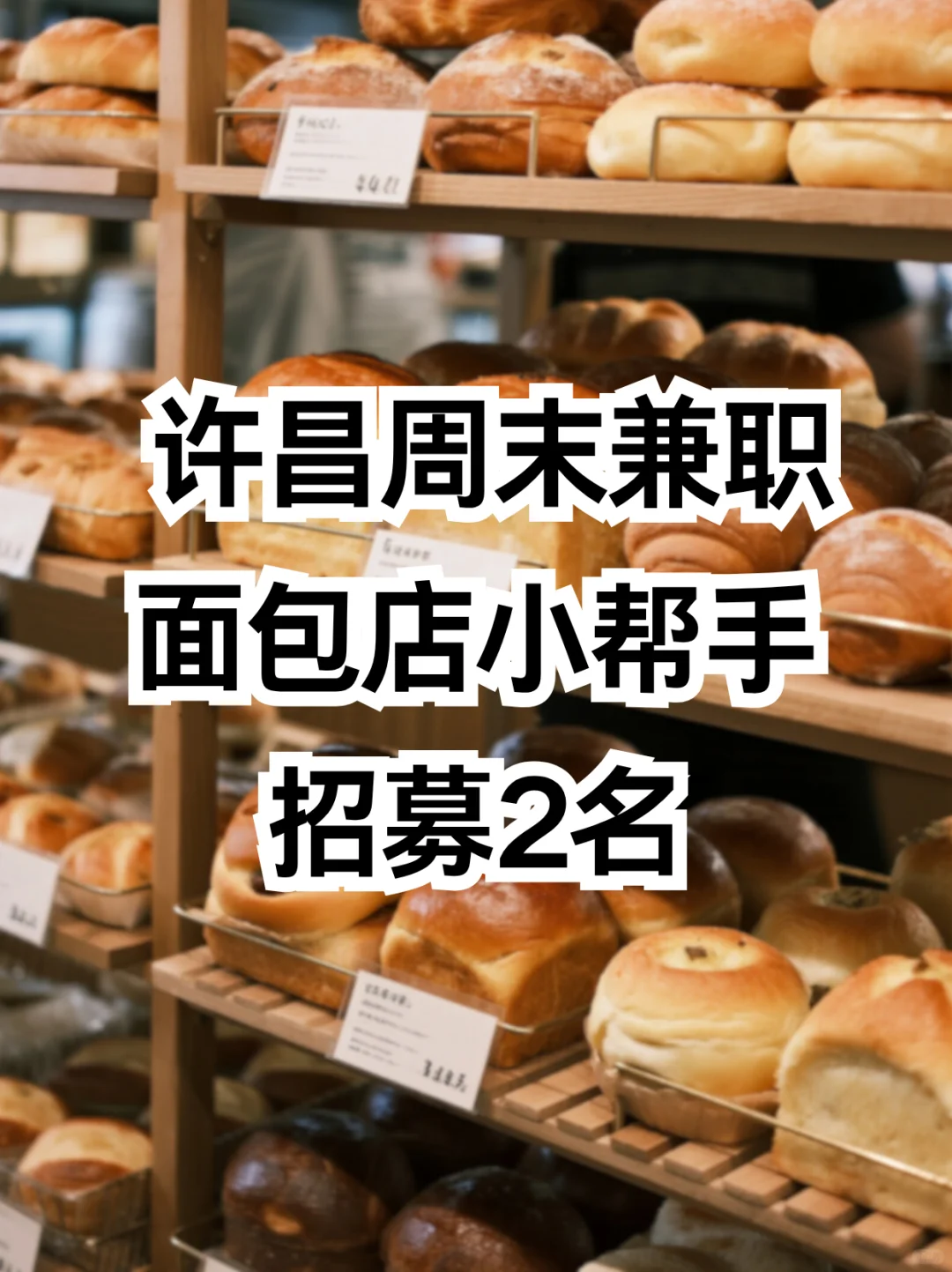 许昌周末兼职｜面包店小帮手招募