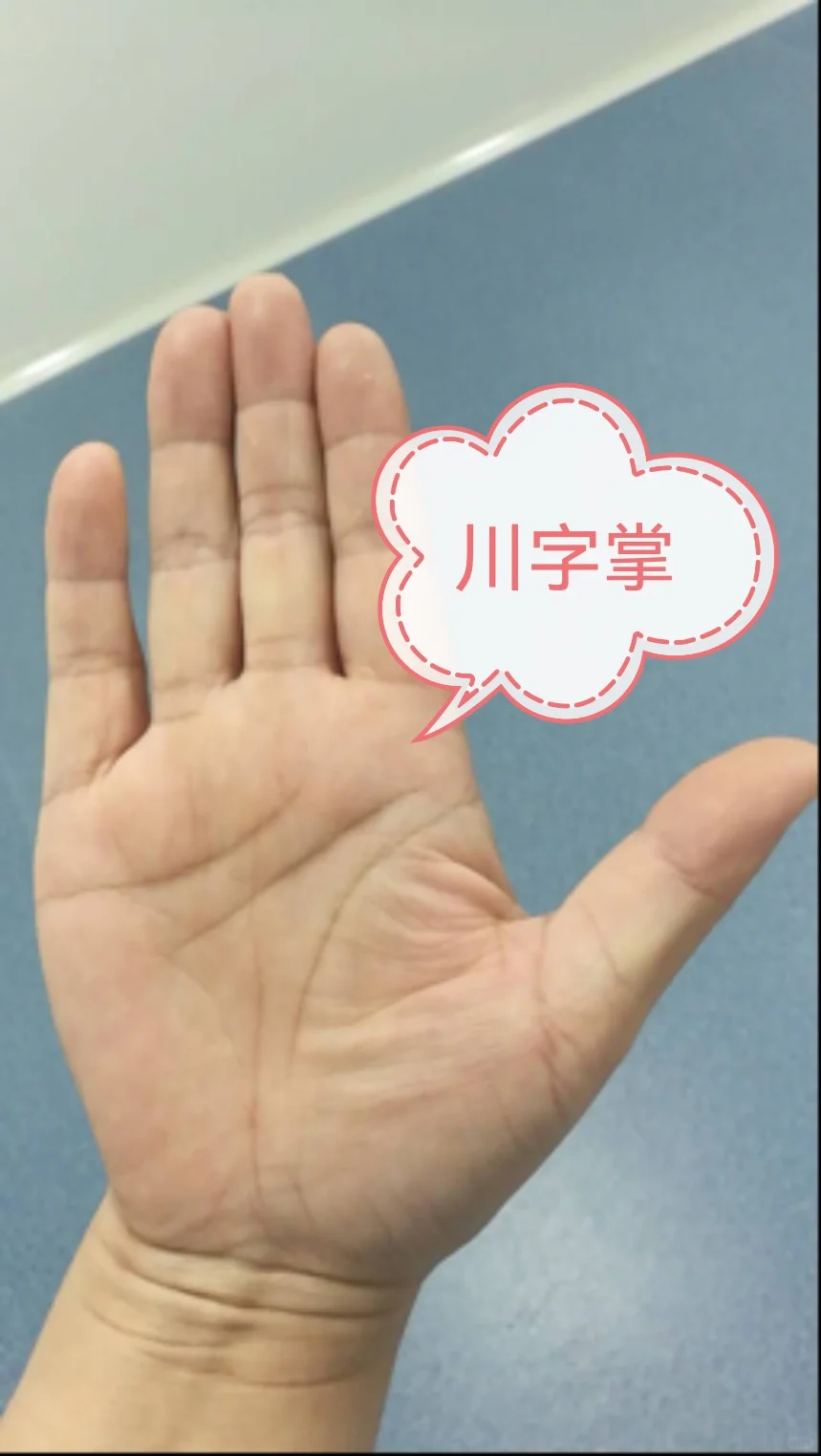 川字掌性格大揭秘！