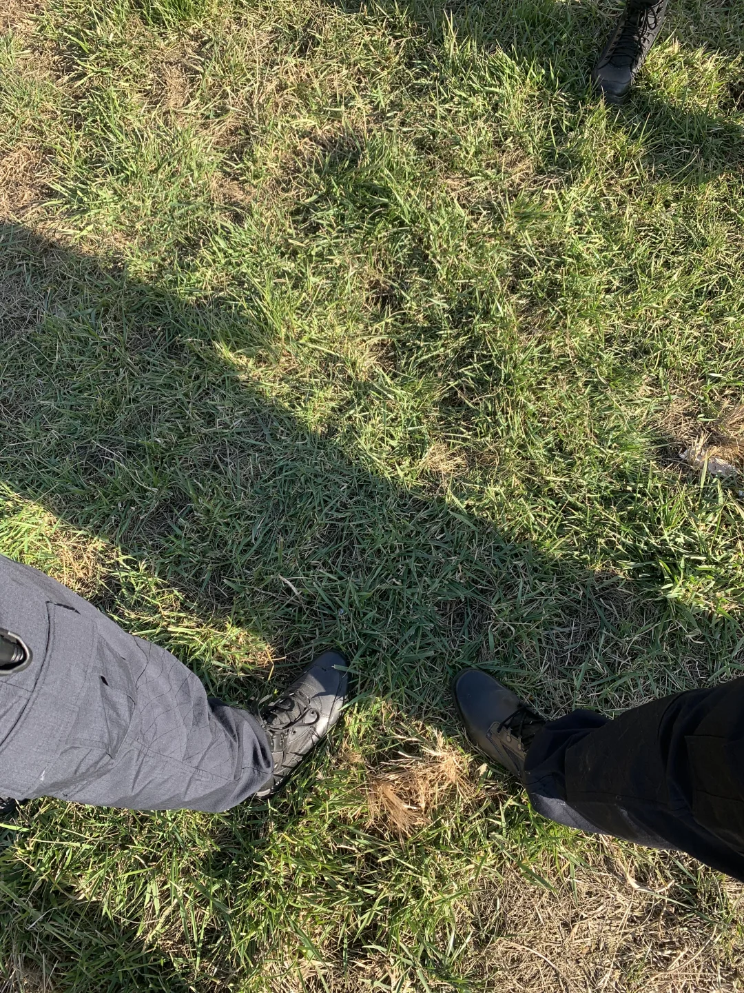 岁数大了，只想有个家