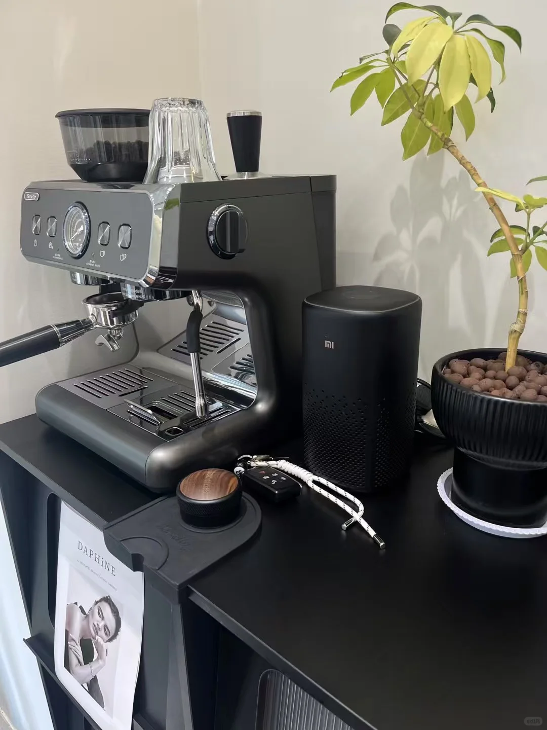 进来了，服装店长来咯！