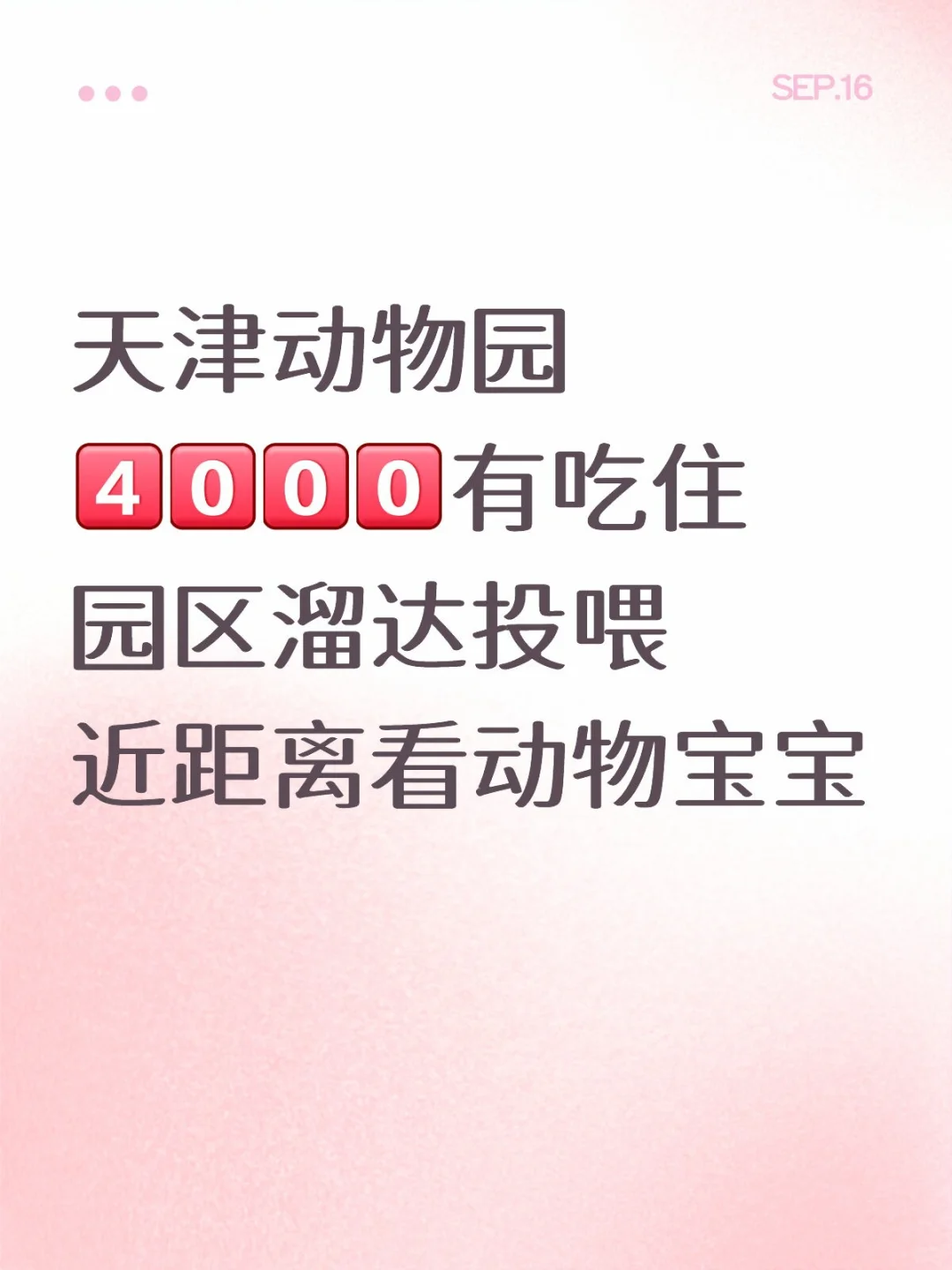 天津动物园！动物宝宝超近看！