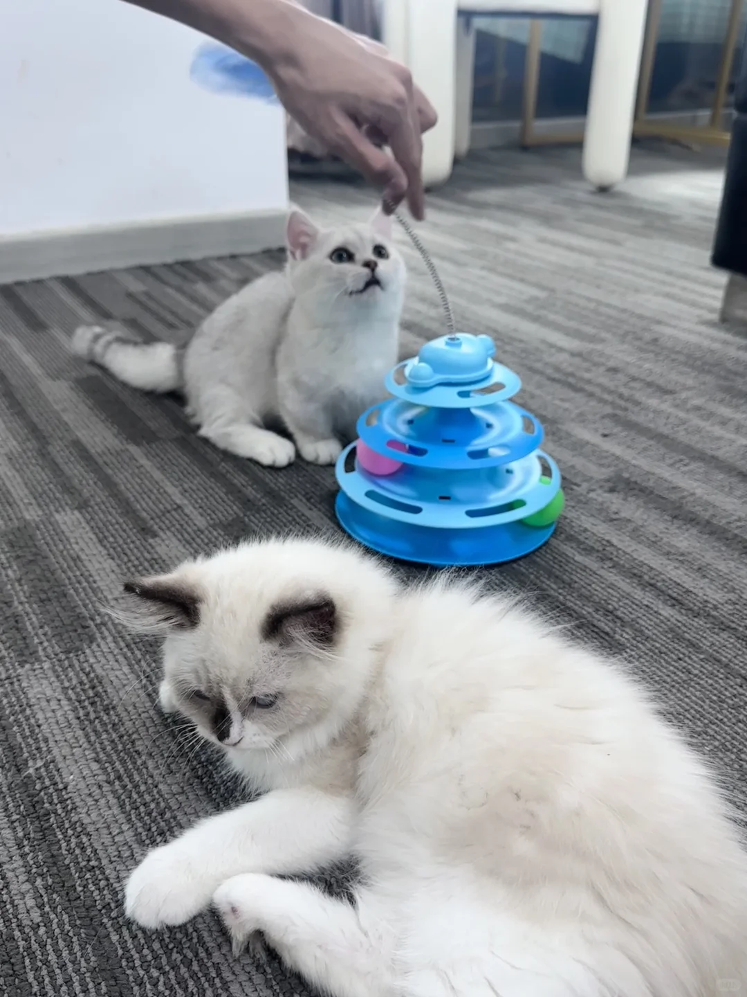 全员00后 荆州招聘