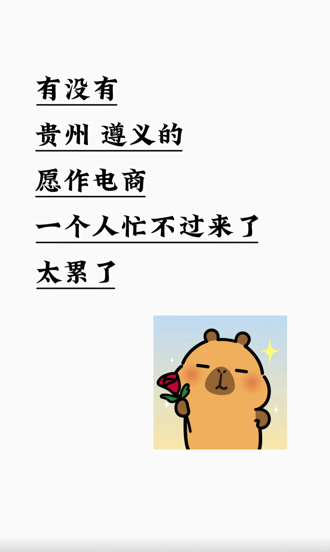 遵义，周边都可🉑……