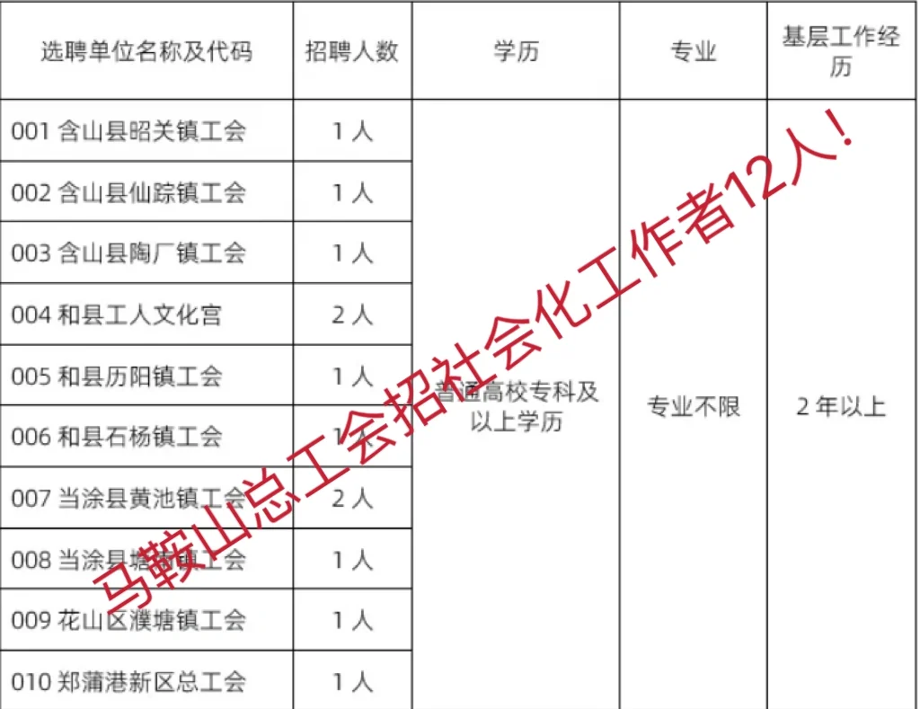 马鞍山市总工会招社会化工作者12人！
