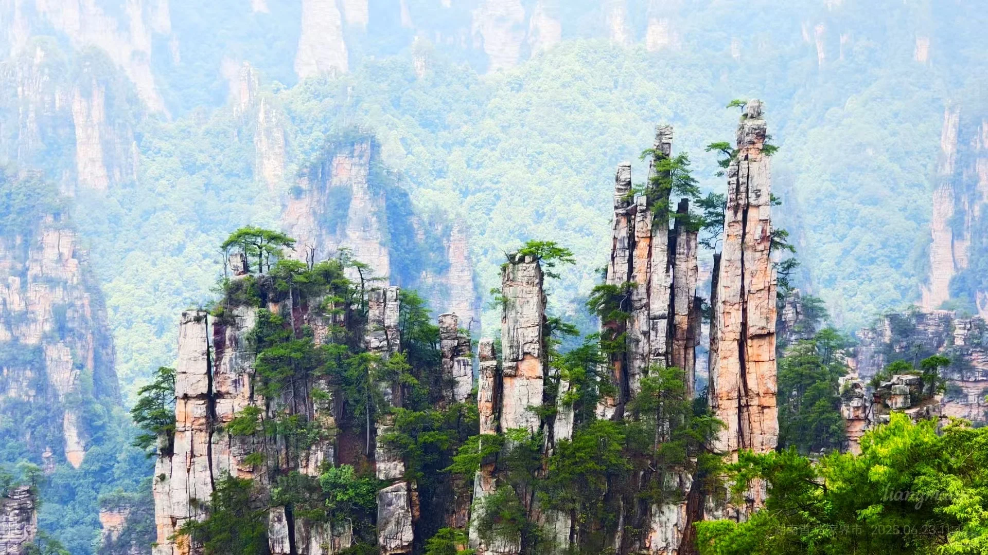 招人啦！张家界高盛国际5楼，招聘人了！