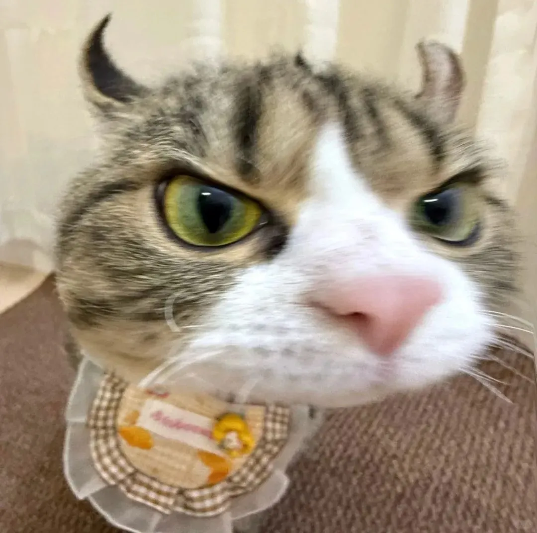 耀宁小时工开招啦❗❗❗鹰潭惊现高工价