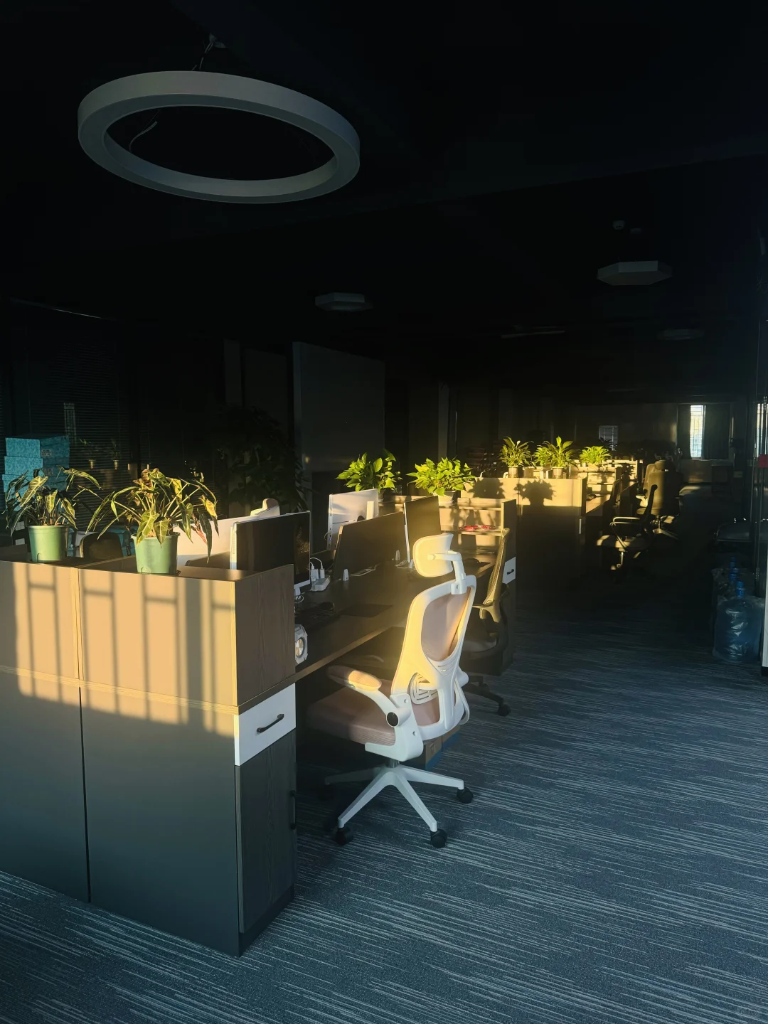 不是联通！传媒公司在线文字客服招聘