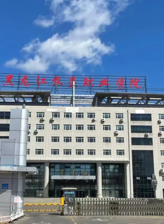 应届水硕勇闯大专老师（黑龙江）一次上岸