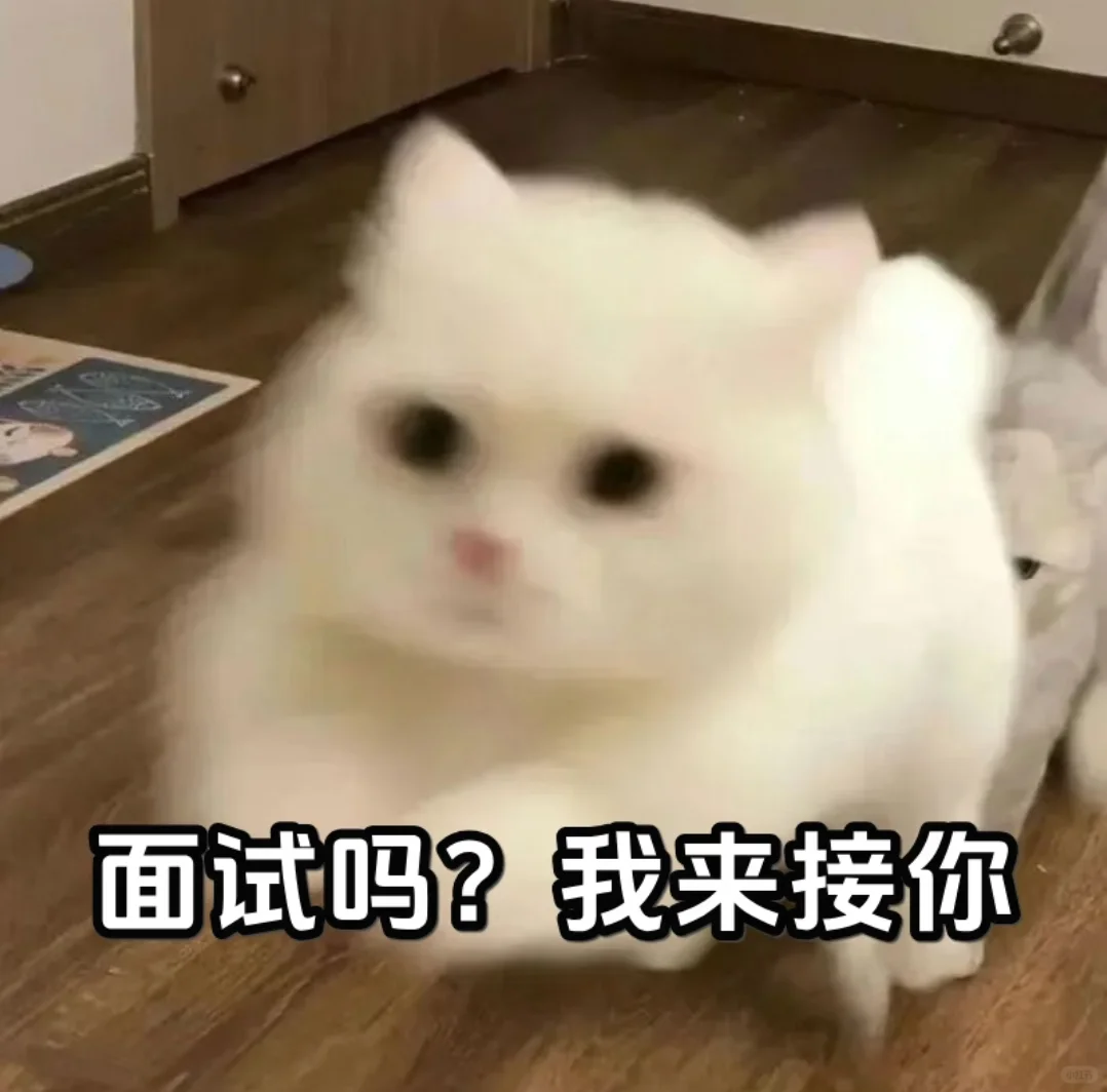 呼市想找工作的来