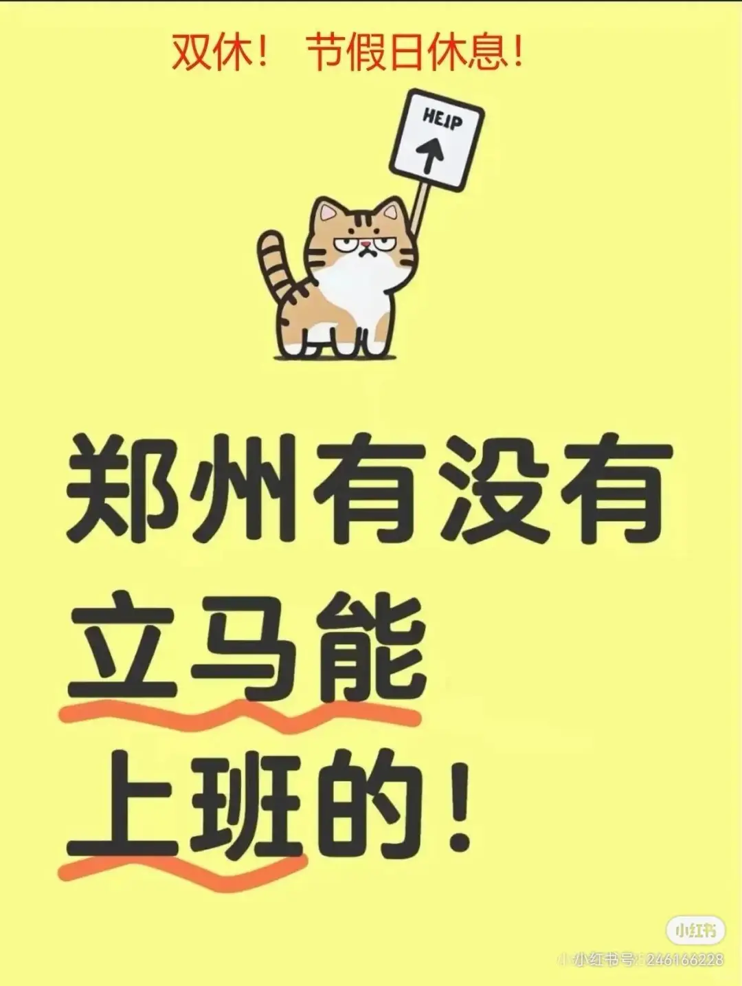 郑州金水区有没有上班的