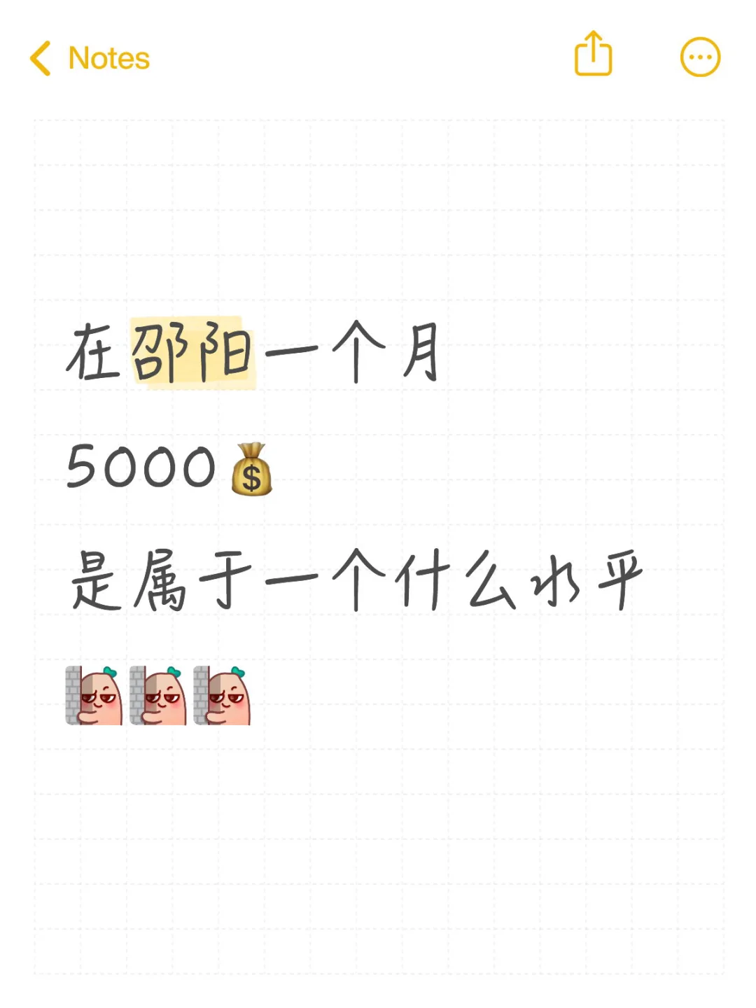 在邵阳月入5000是什么水平