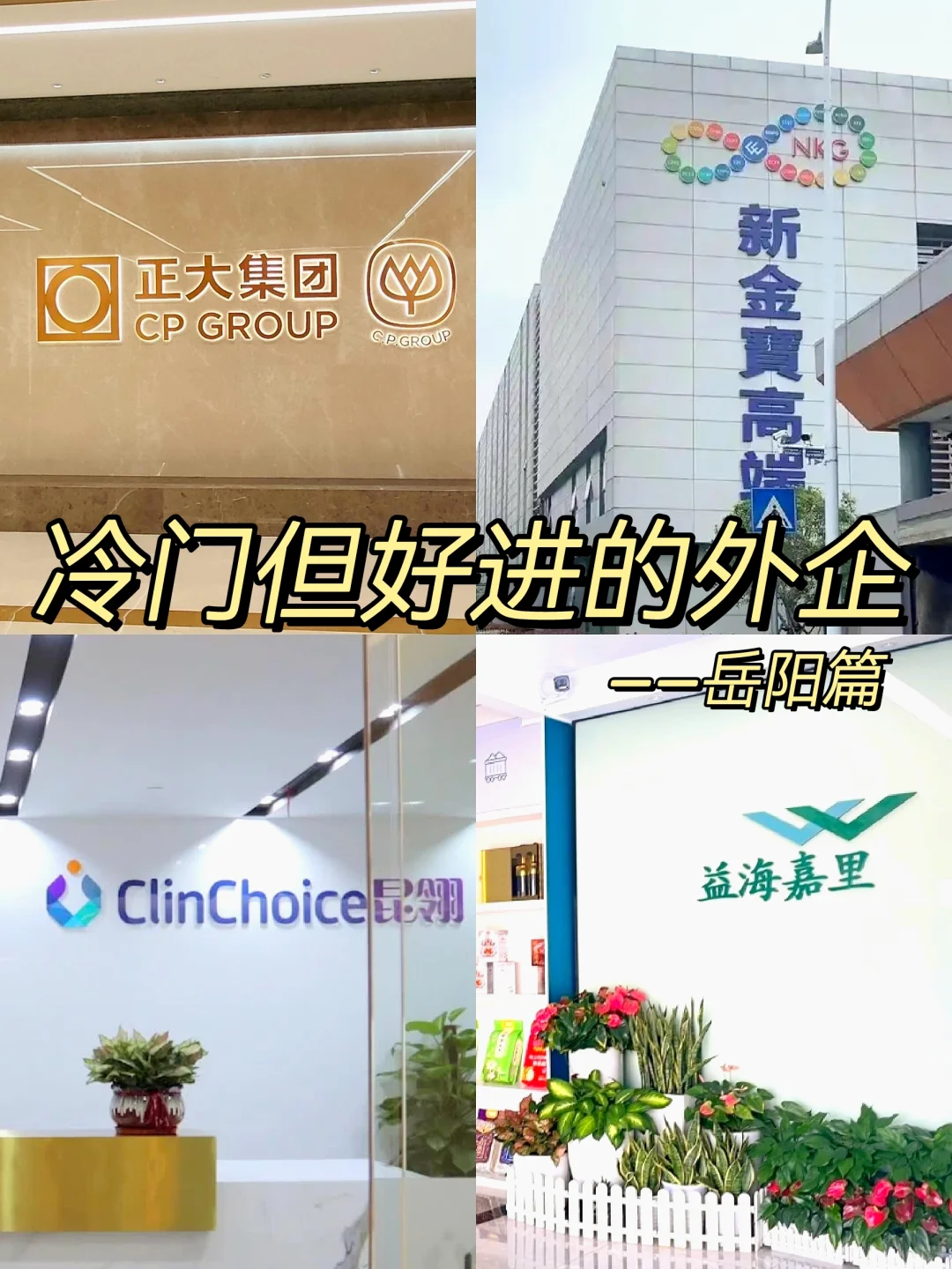 冷门但好进的外企—岳阳篇