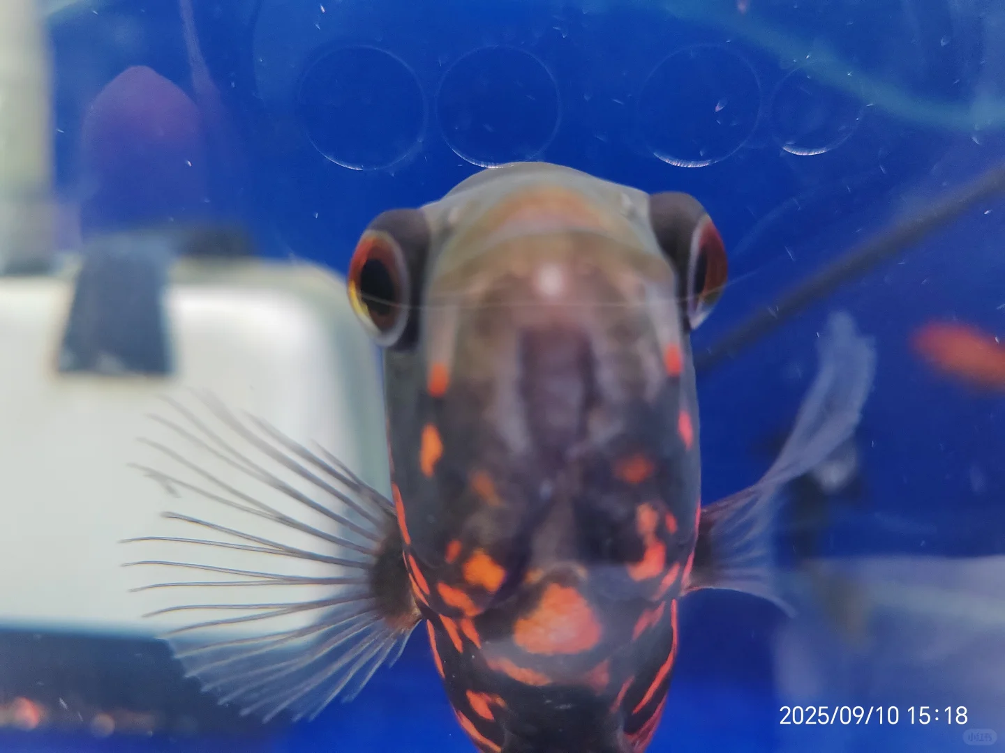 岗位汇总！没有工作的看过来！