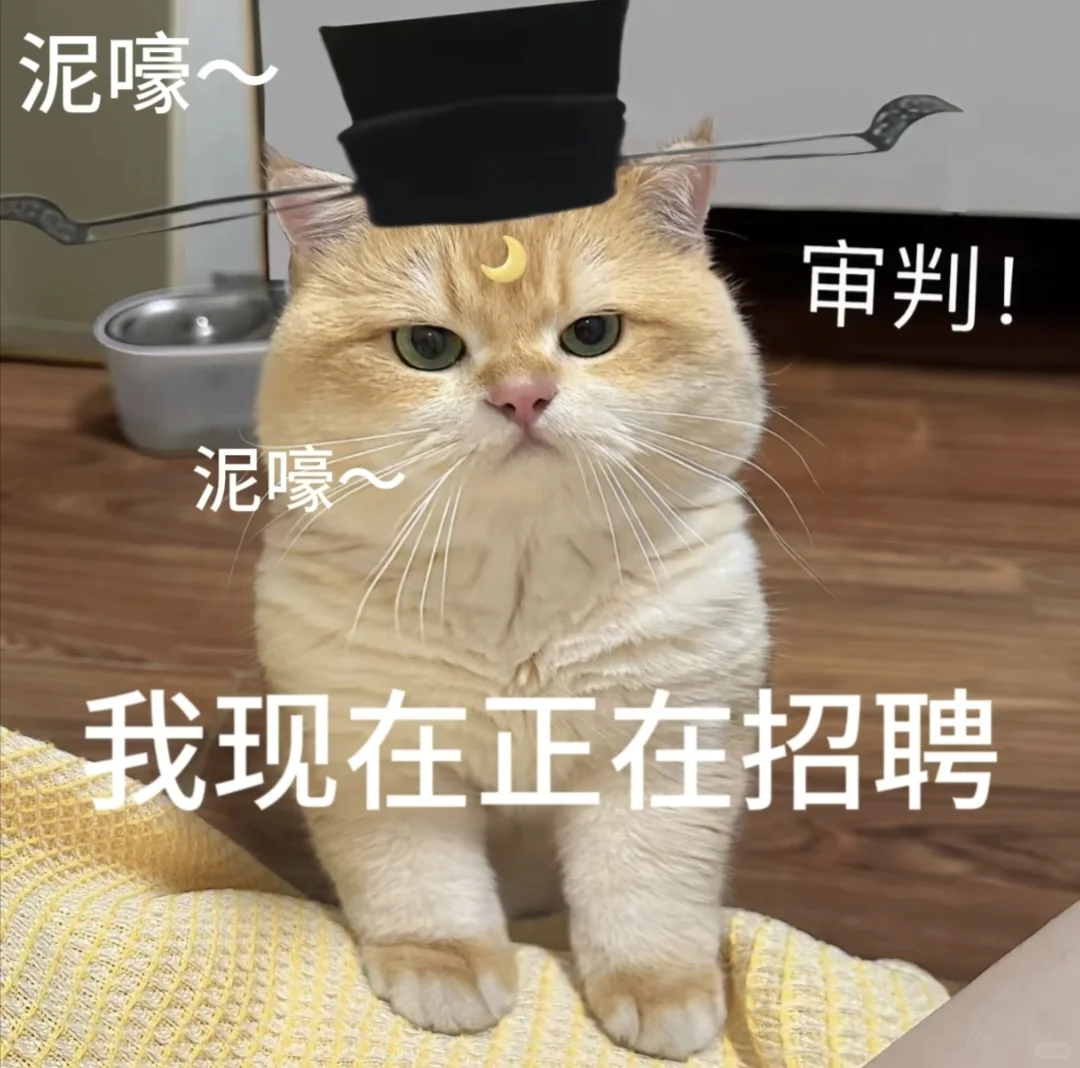 该上班啦！这是一条招聘文案