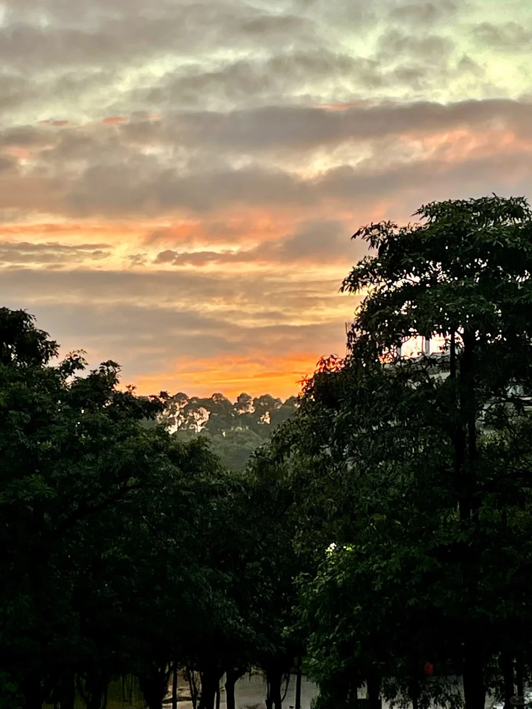 25届211本｜毕业即失业？勇闯秋招Day29🔥