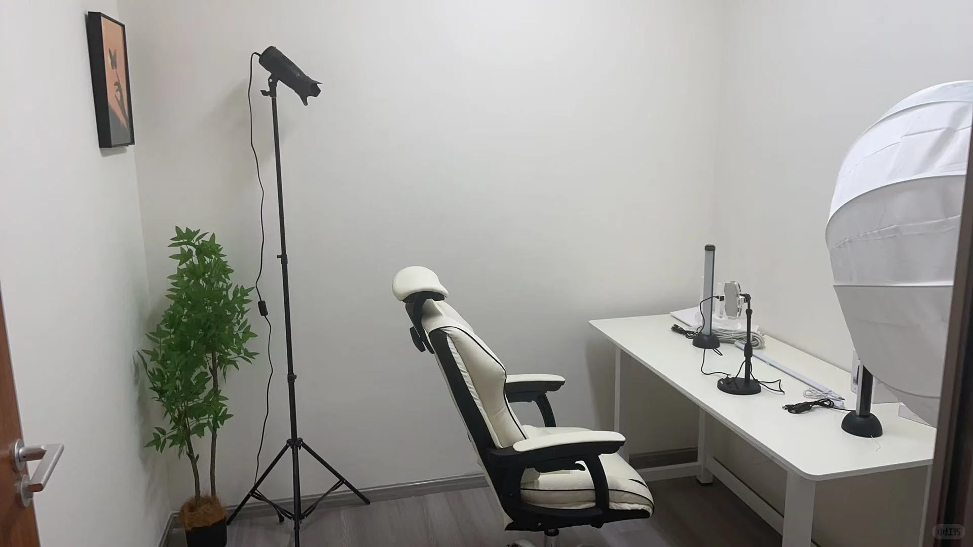 00后勇闯团播公司当苦命人事