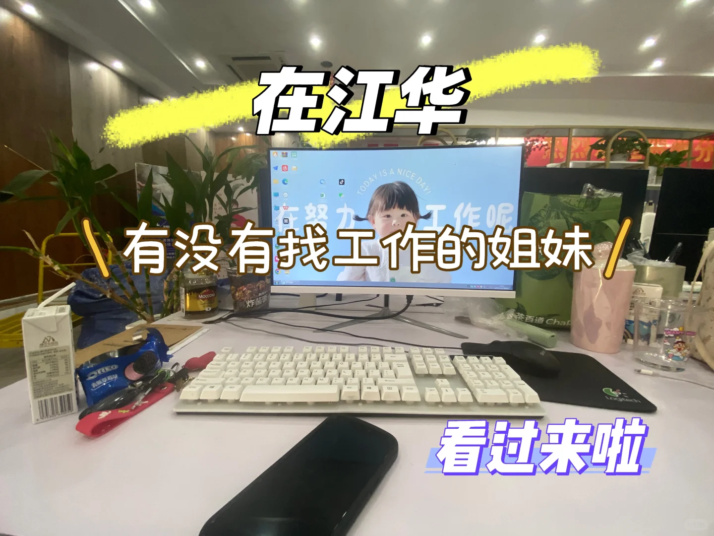 电商项目总助理招聘