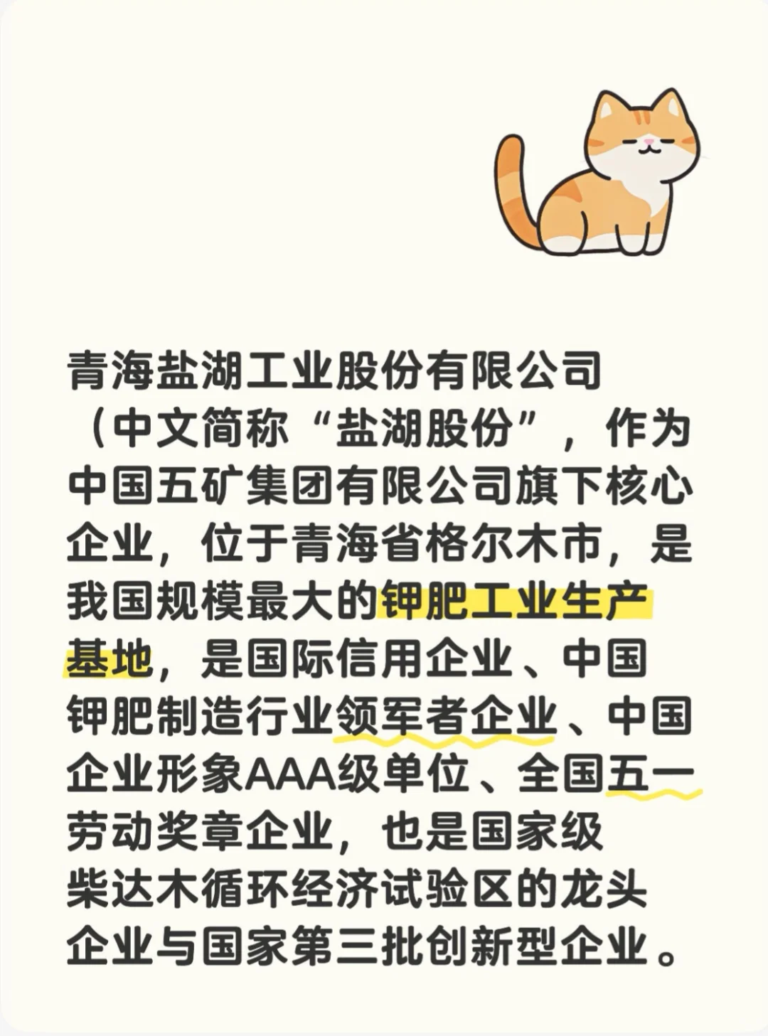 2025青海盐湖工业股份有限公司招聘49