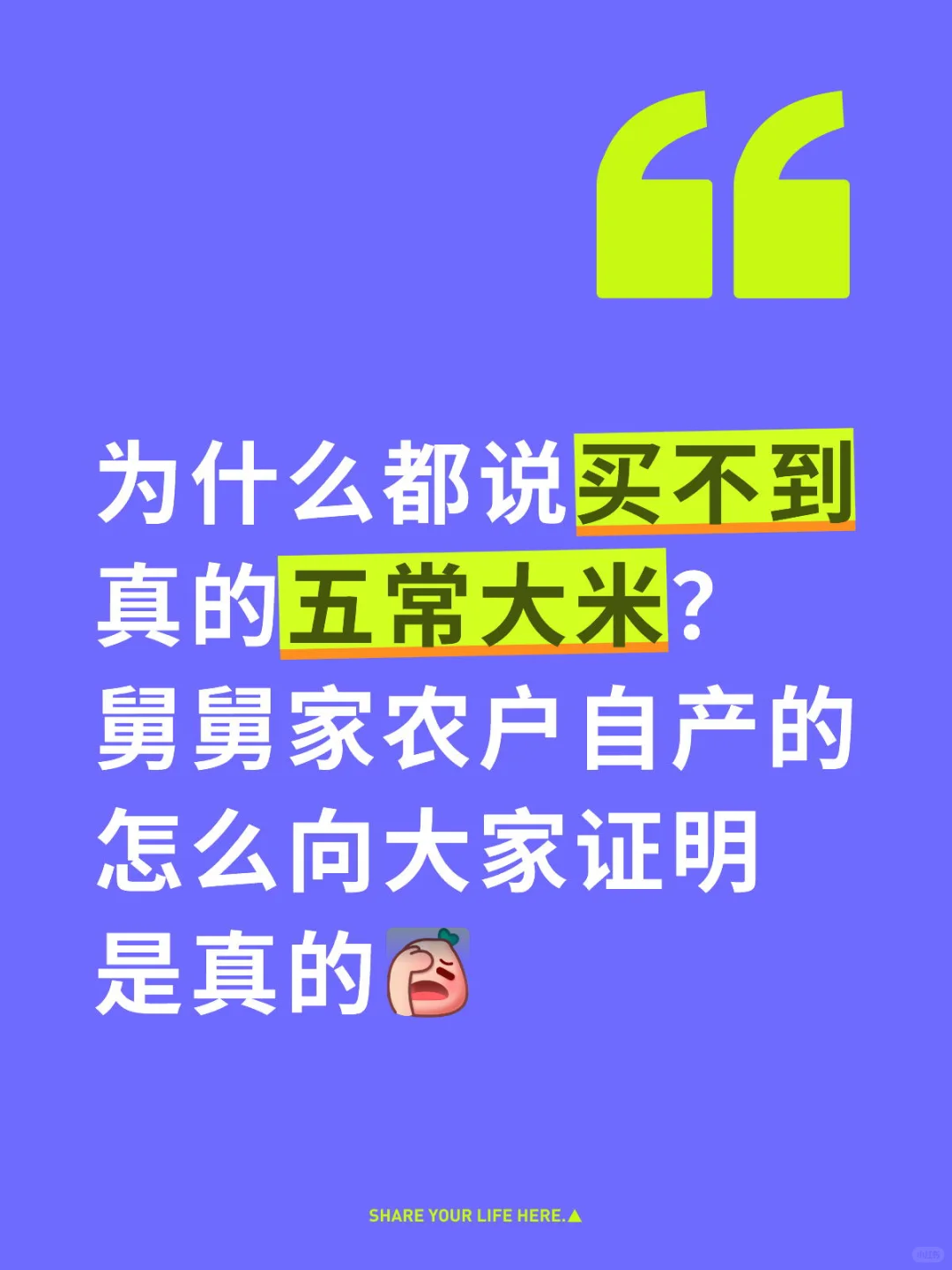 农户自产五常大米