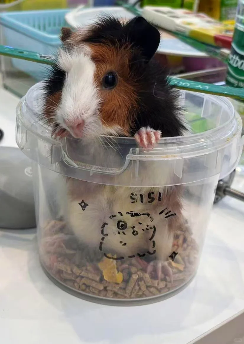 岗位汇总！有工作的看过来