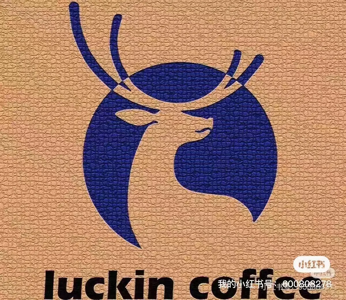 新余学院瑞幸咖啡招人啦！