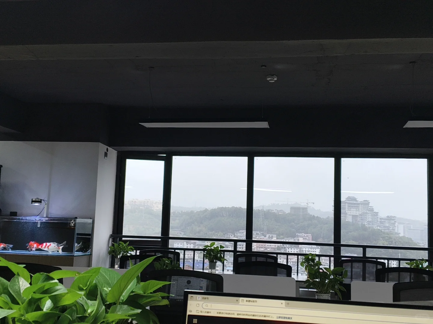 为啥今年没人想上班？