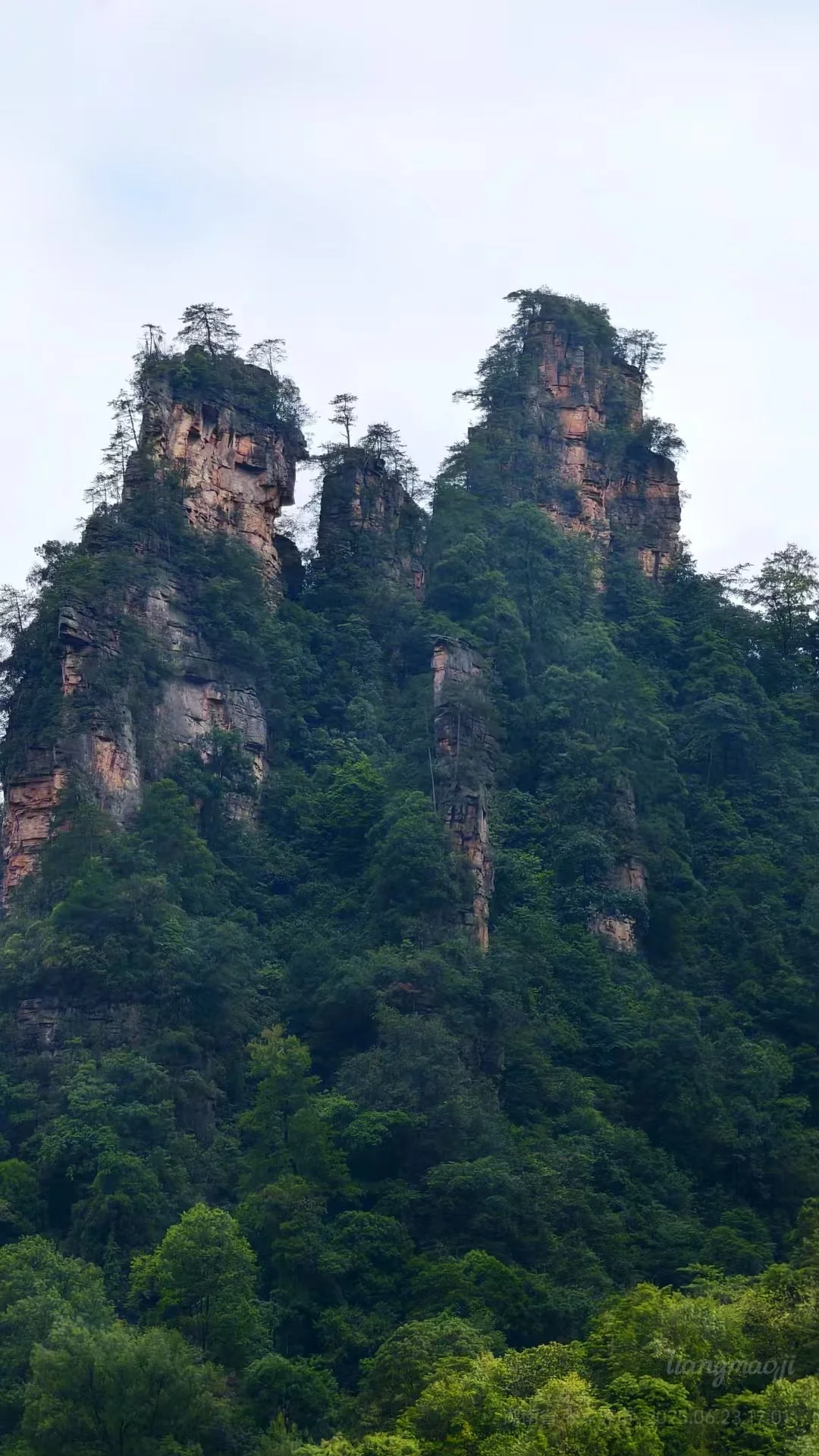 招人啦！张家界高盛国际5楼，招聘人了！