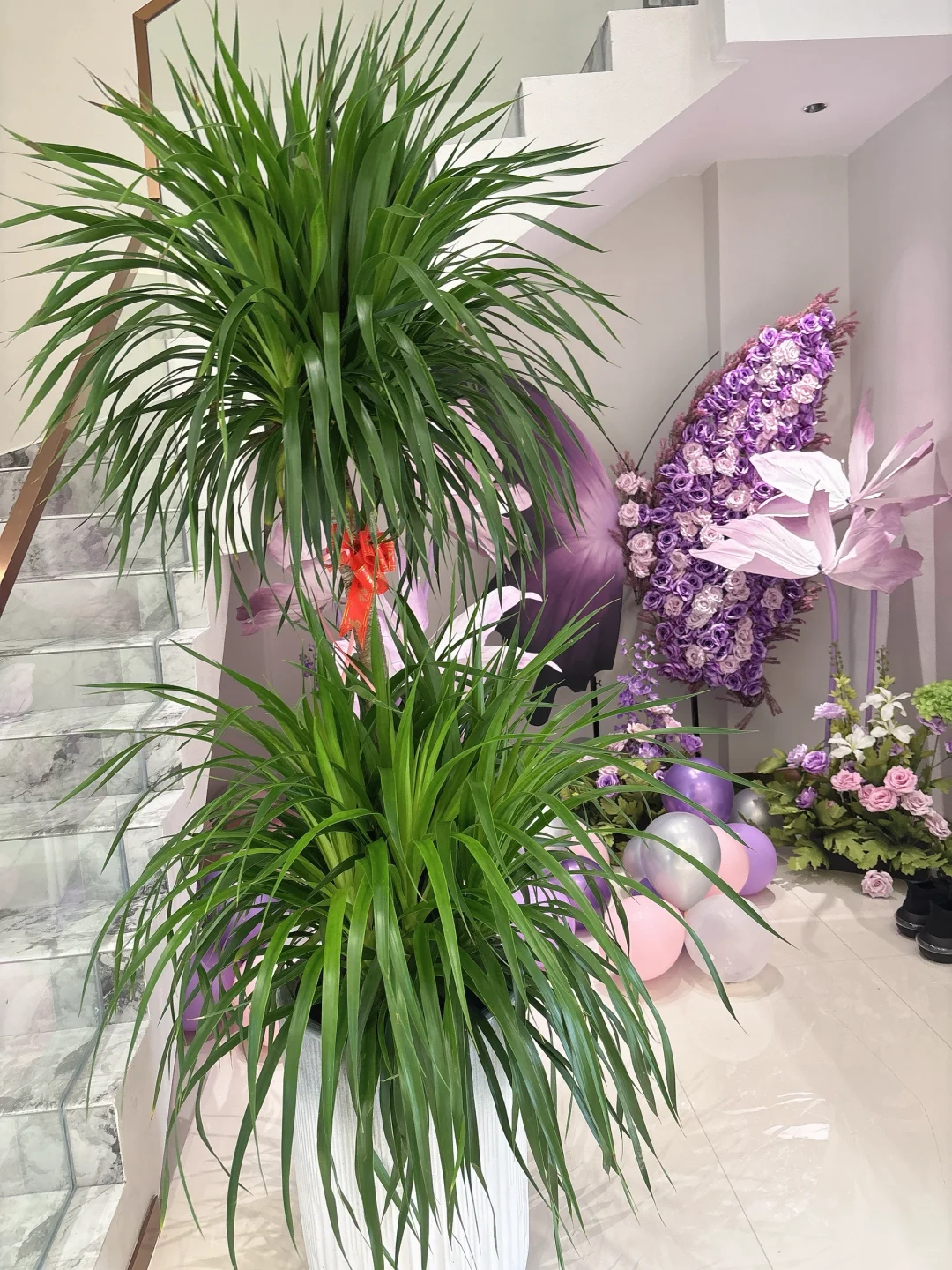 萍乡天虹招人啦！！！