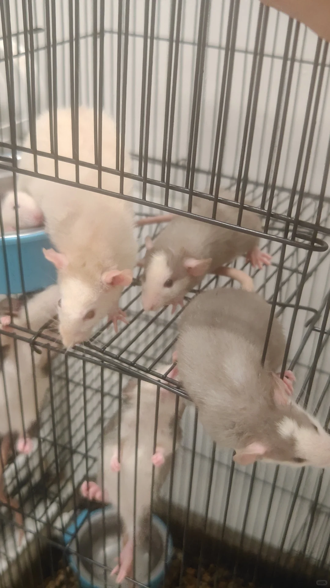 新北生物公司招聘