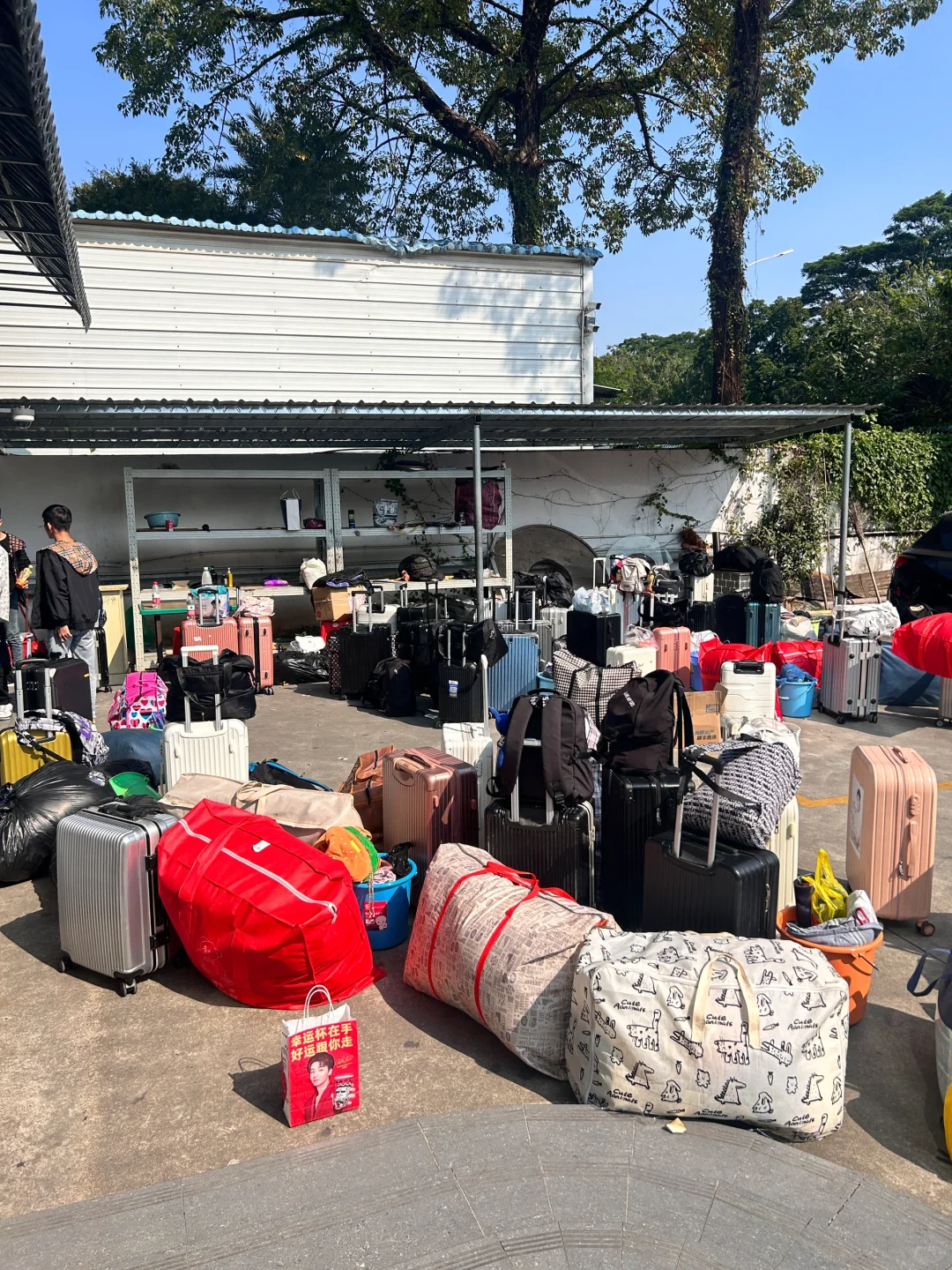 今年寒假就继续在这里吧