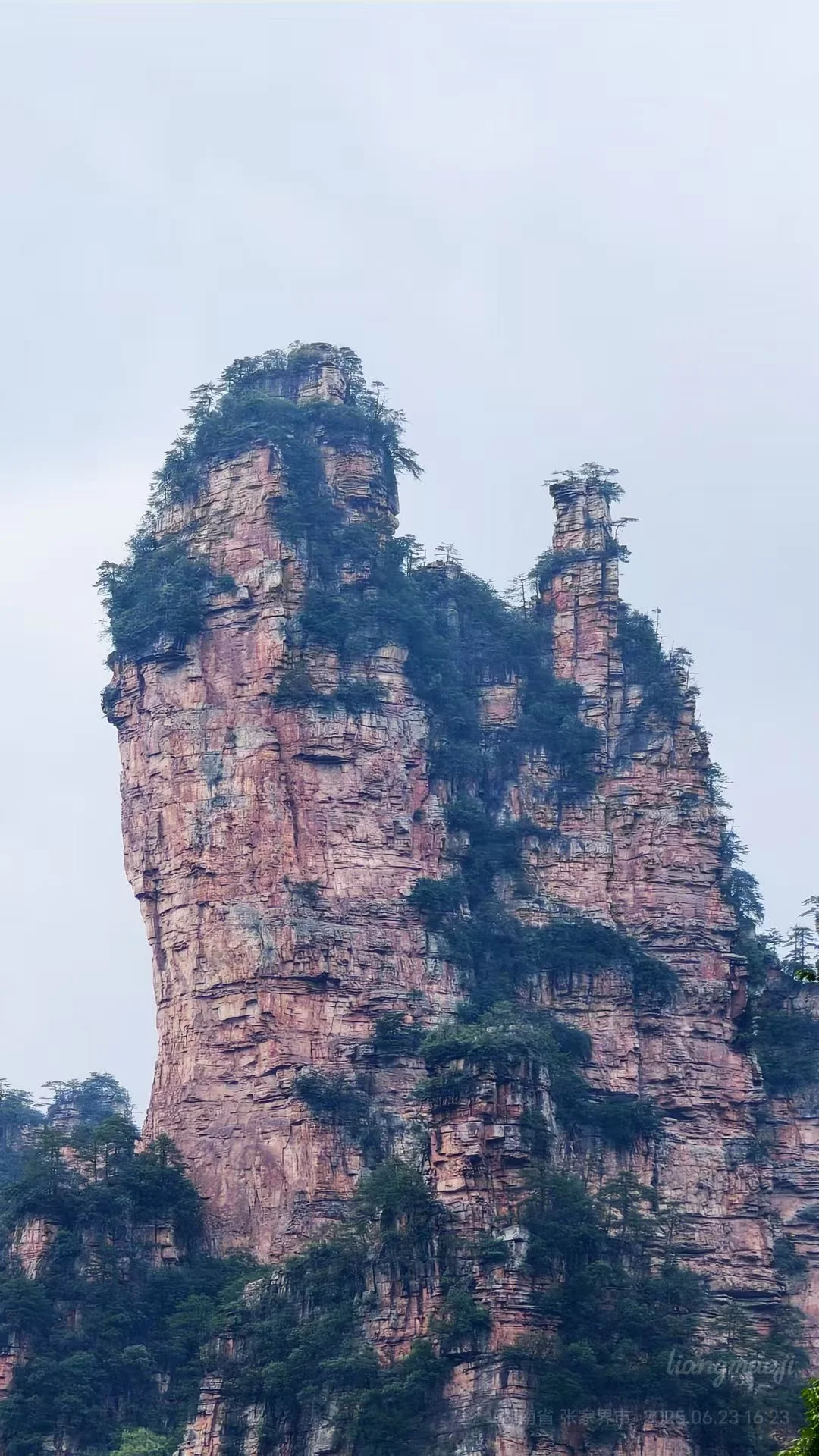 招人啦！张家界高盛国际5楼，招聘人了！