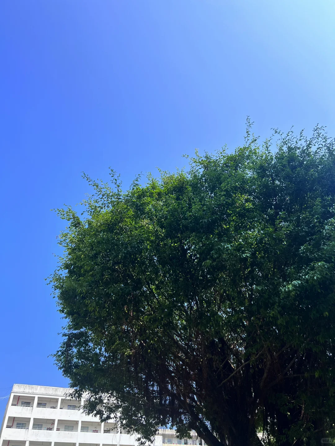 钦州校园咖啡店招聘