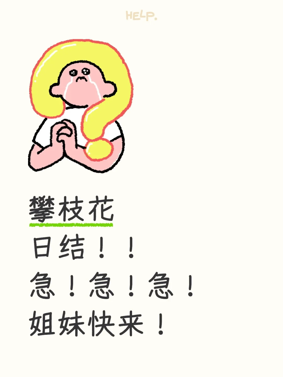 报销车费 上下班包接送 喝多了背你回家