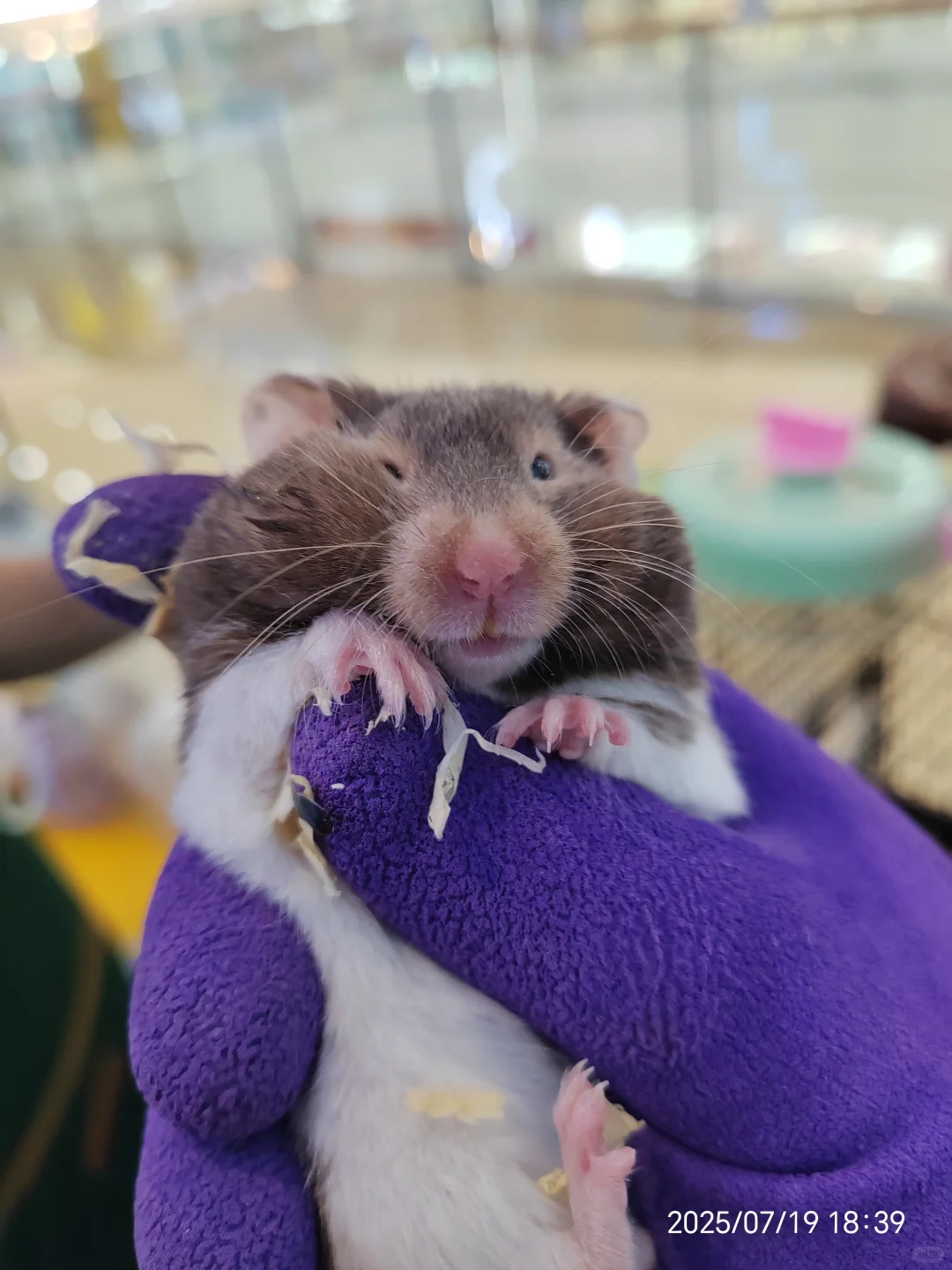 岗位汇总！有工作的看过来