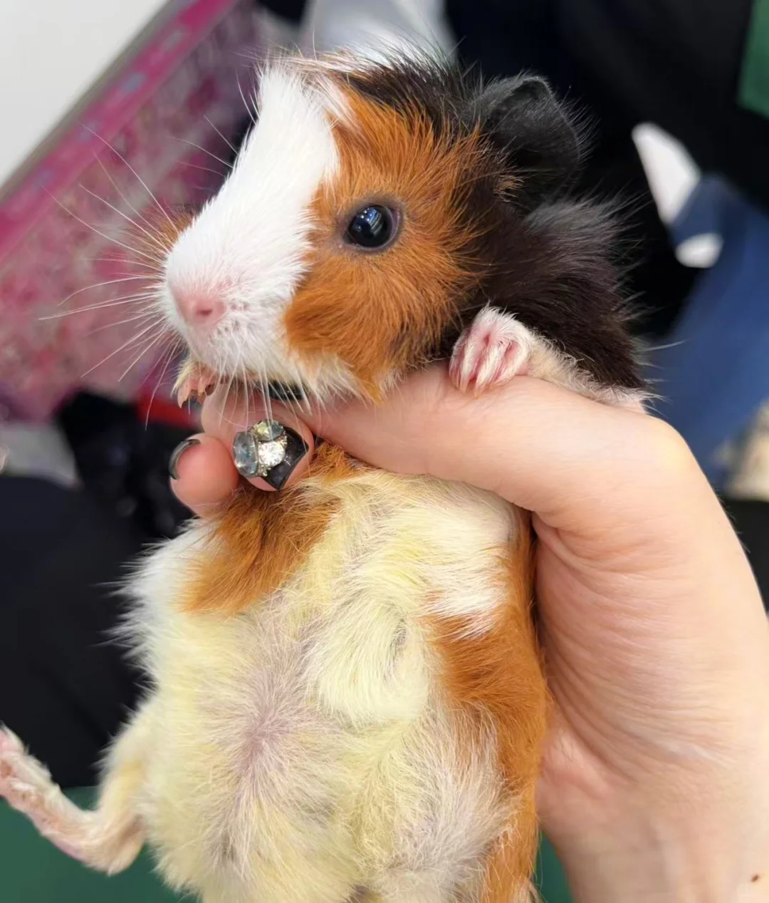 岗位汇总！有工作的看过来