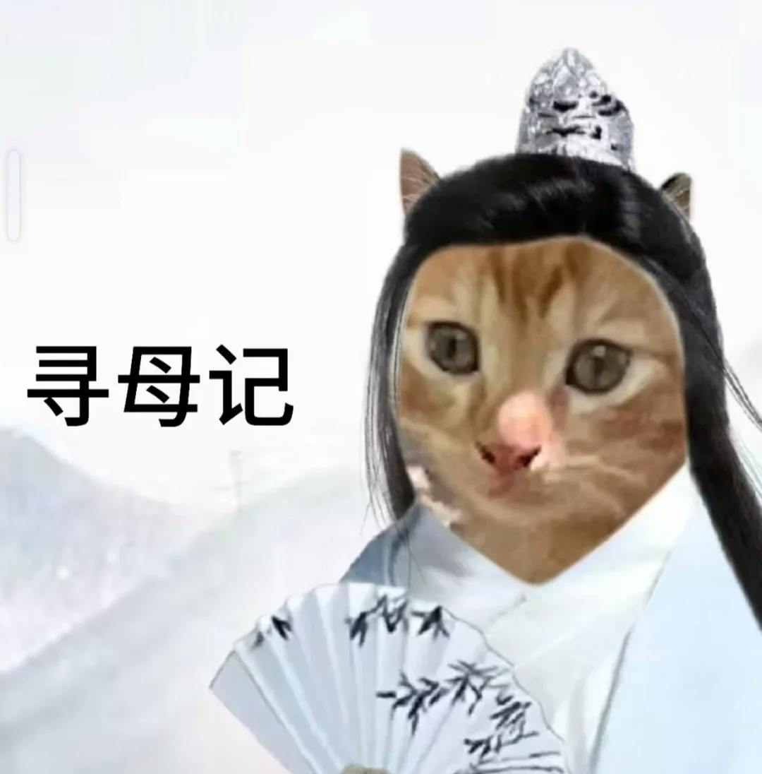 可有化州姑娘中意此咪