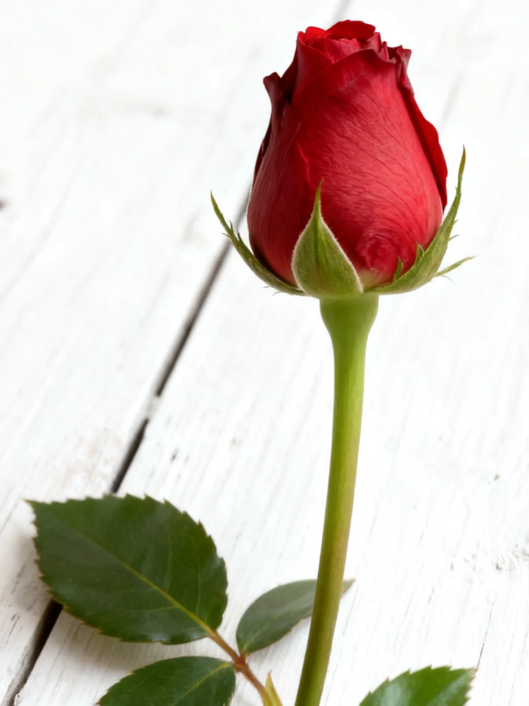 25邵阳市总工会工作者，这次是真的放水啊！