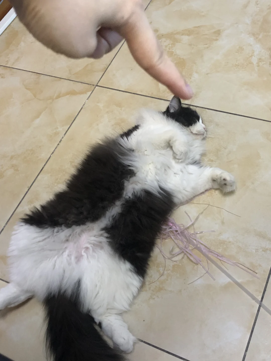 娄底还有人找工作不 ？有进来看看吧