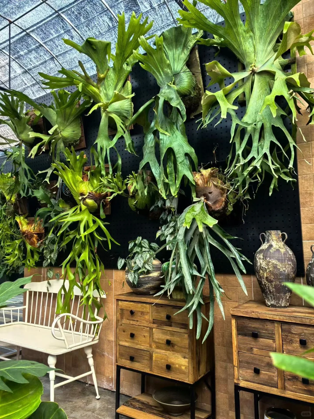 漂亮花店的工作环境