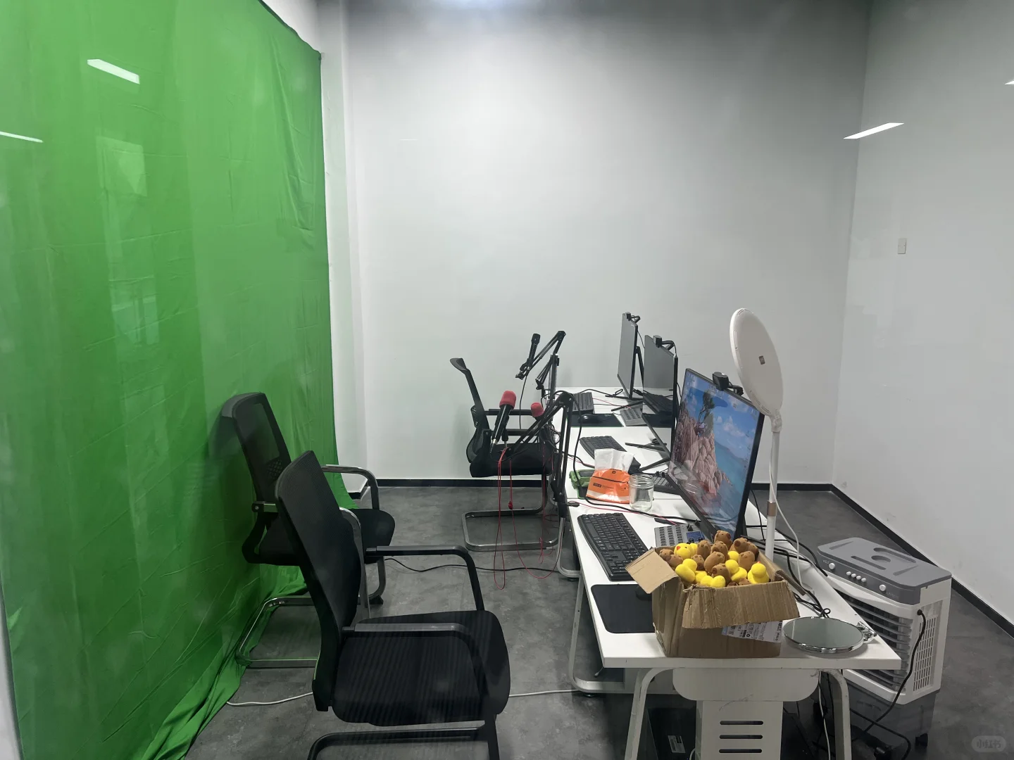 弹幕游戏直播招聘，不限经验，不限年龄