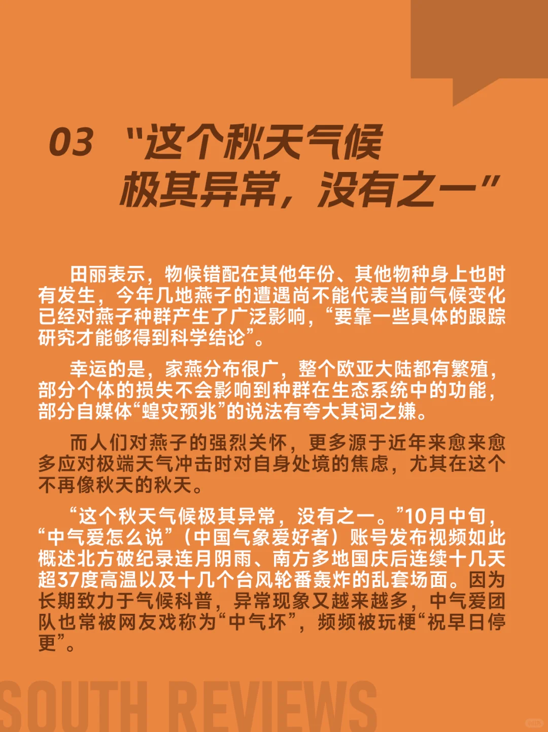 100多只燕子滞留东北，小燕崽被活活冻死