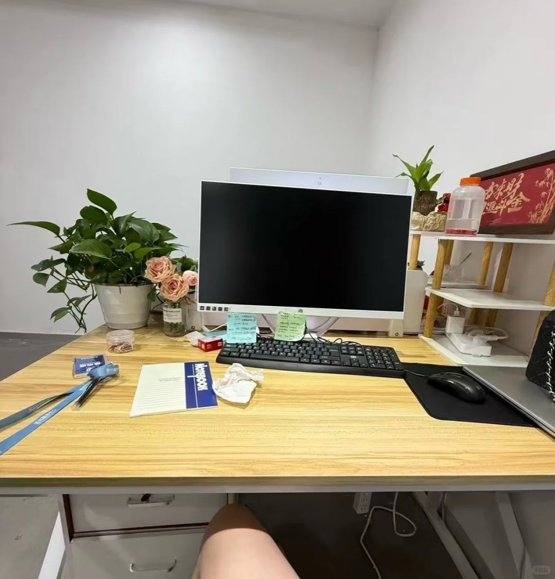 绍兴镜湖急招！一名渠道文员 小白可带