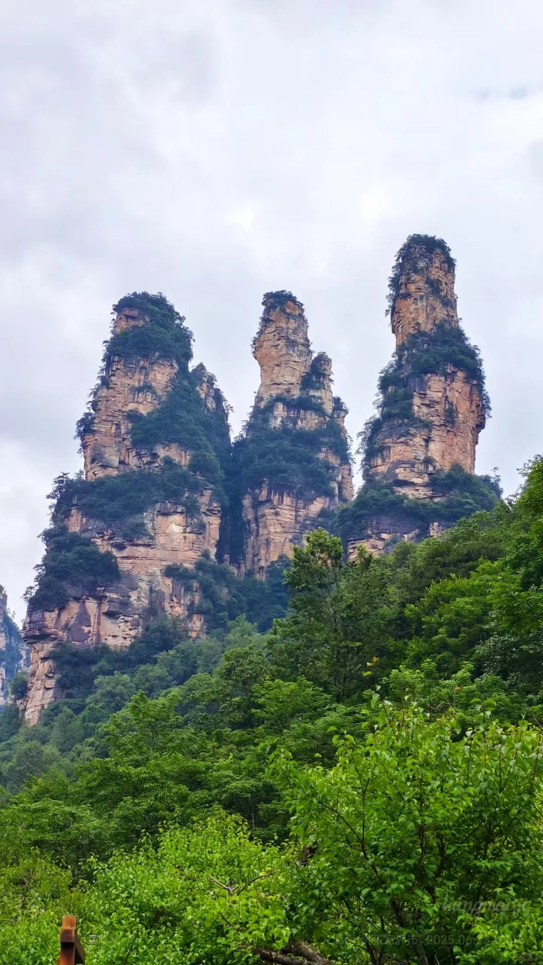 招人啦！张家界高盛国际5楼，招聘人了！