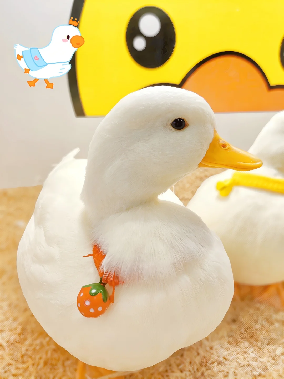 乐山万达招聘兼职