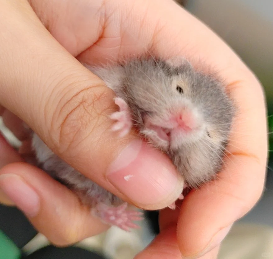 岗位汇总！没有工作的看过来！