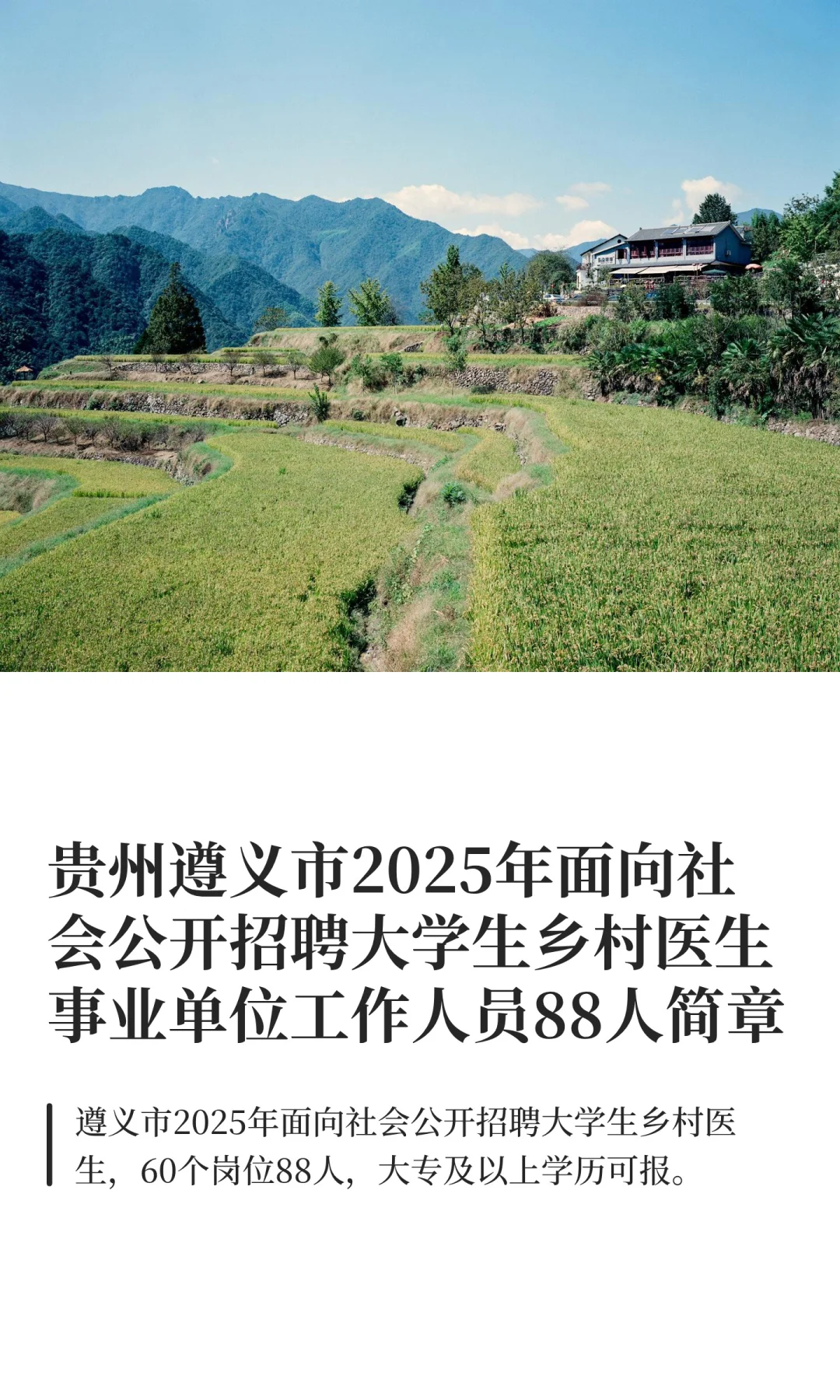 贵州遵义市2025年面向社会公开招聘大学生乡