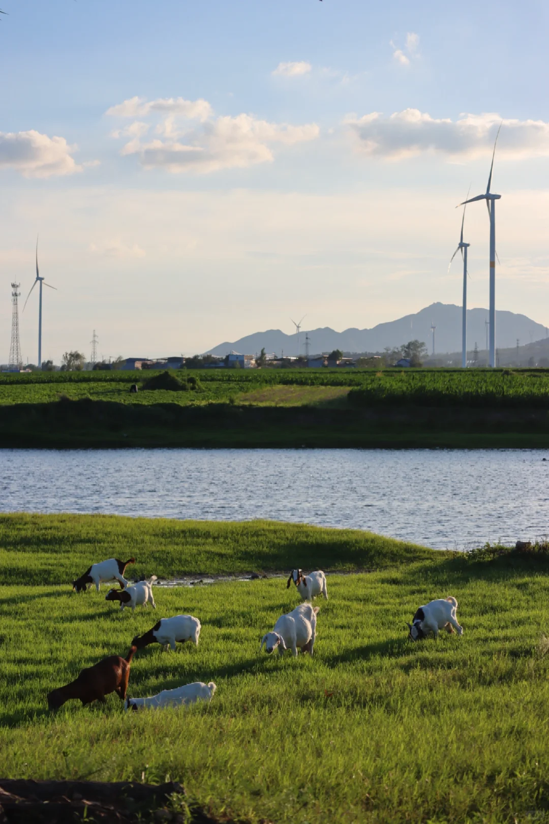 平顶山招上班搭子