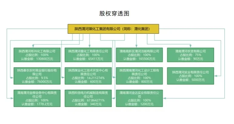陕西渭河煤化集团有限公司